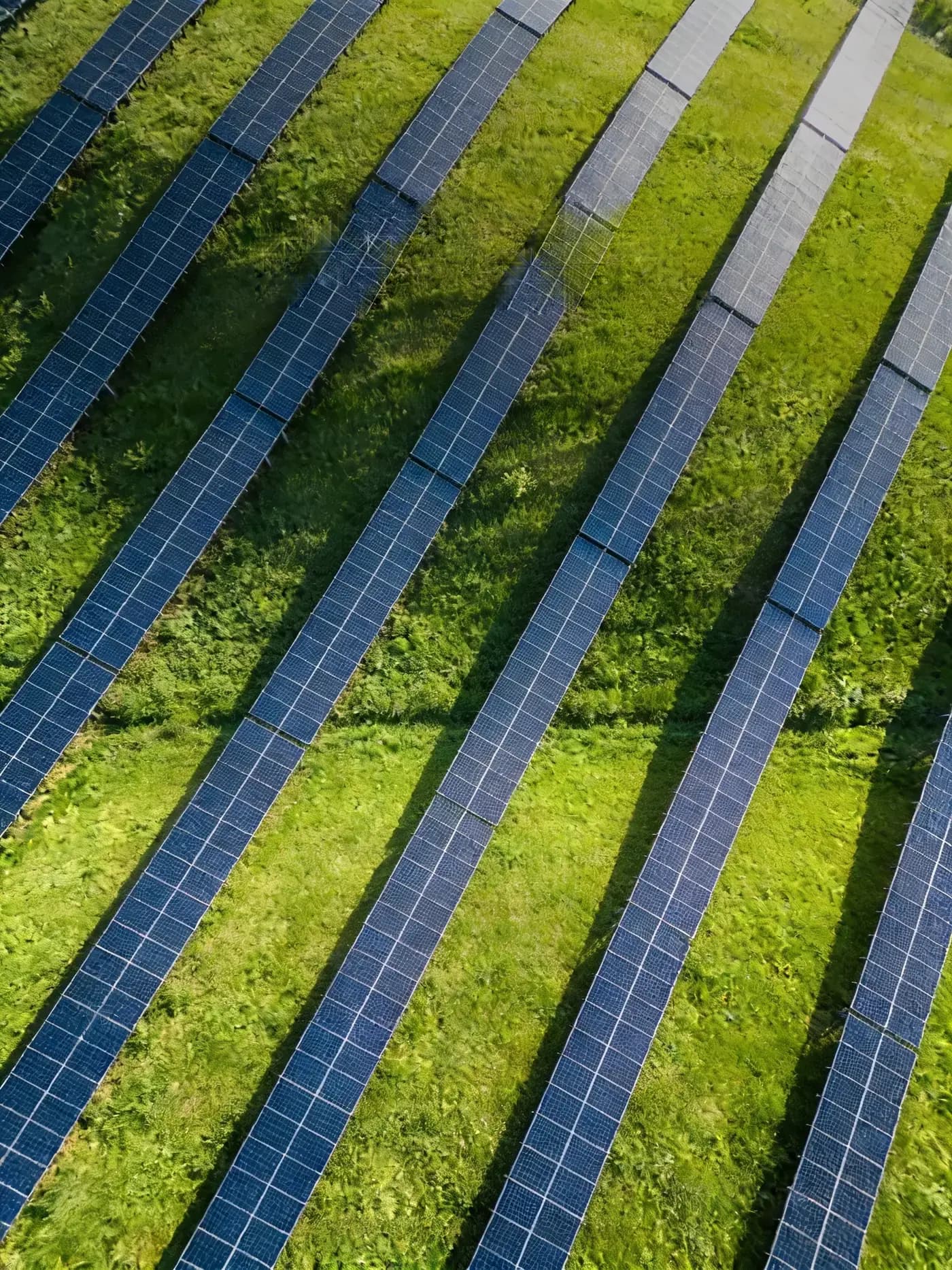 Designkonzept für einen Photovoltaikbetrieb: Luftbild einer Solaranlage auf einer Wiese.